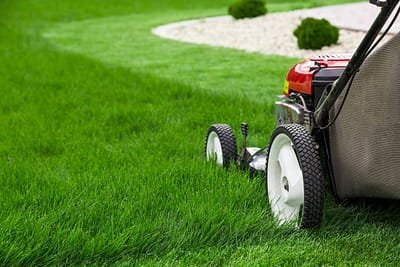 How to Choose the Right Lawn Care Company? image