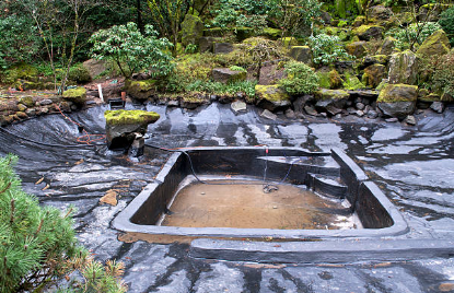 How to Get the Best Pond Maintenance Services