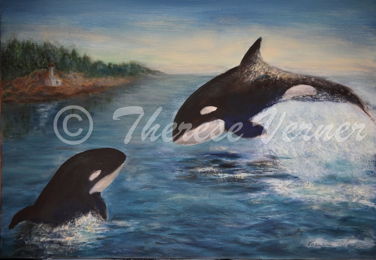 Orcas Play Time  - SOLD