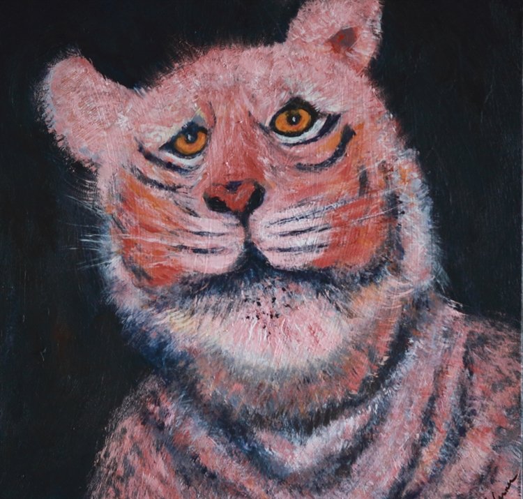 Curious Tiger - SOLD!