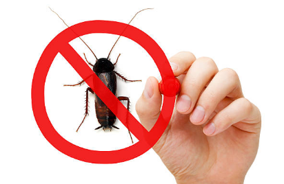Reasons To Engage The Services Of Florida Pest Control Companies