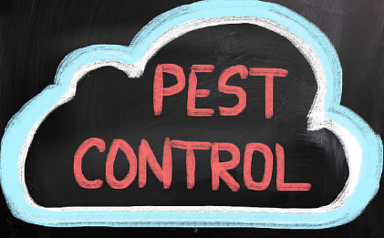 Are You Looking for a Pest Management Service?