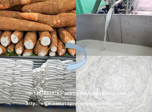 Cassava processing plant in Nigeria - Glucose syrup production