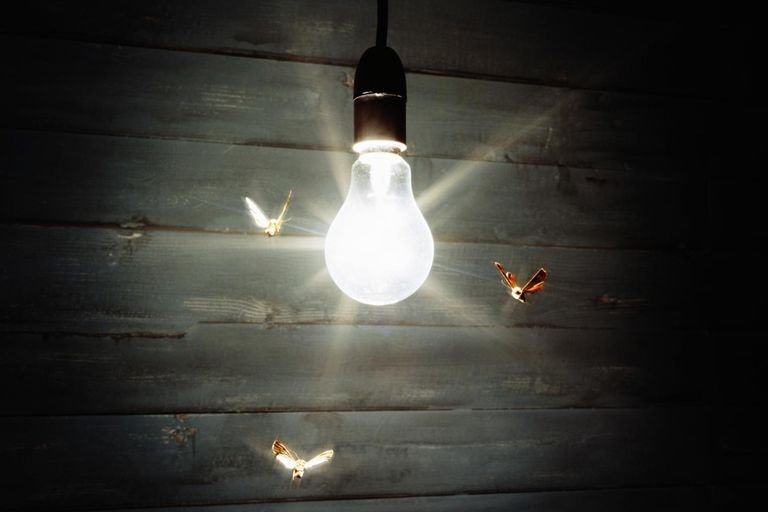 INSECTS ARE ATTRACTED TO LIGHT!
