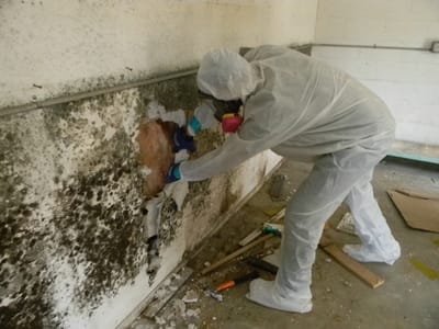 Top Mold Inspection Services image
