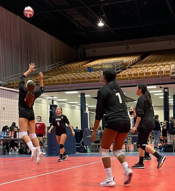 Volleyball Club, volleyball training, volleyball, tampa volleyball