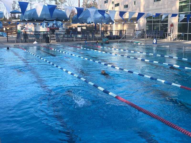 The Levin Jcc Jewish Community Center Blue Dolphins Aquatics