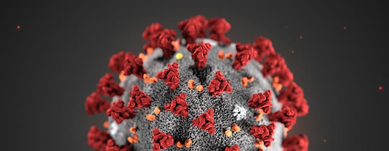 Coronavirus COVID 19 information BSL