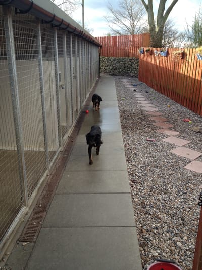 Fairway store boarding kennels