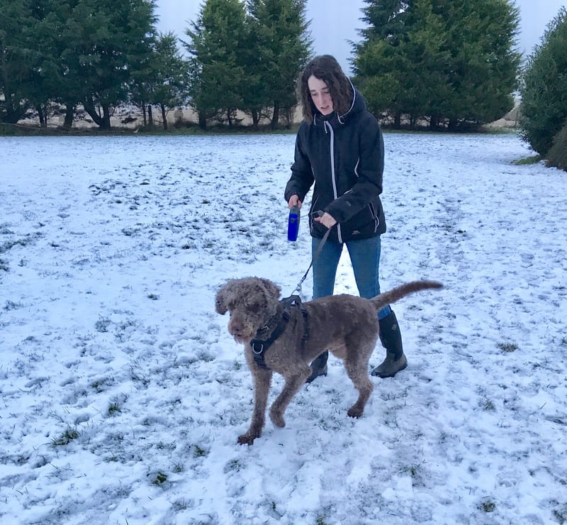 Fairways, Pet, Haven, Dogs, Kennels, Aberdeen, Newmachar, Dyce, Grooming