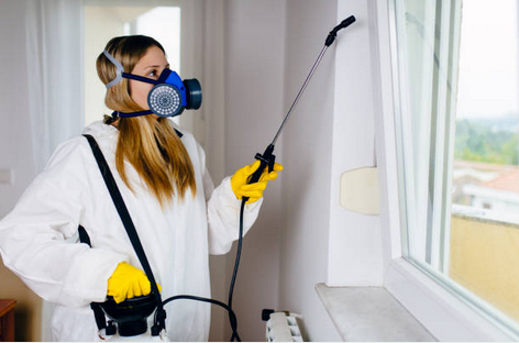 Informative Ways of Hiring the Best Pest Control Company