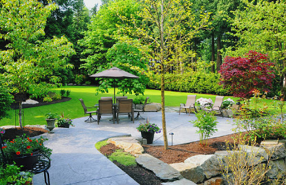 Looking for a Landscaping Organization? Here's How to Acquire the Best