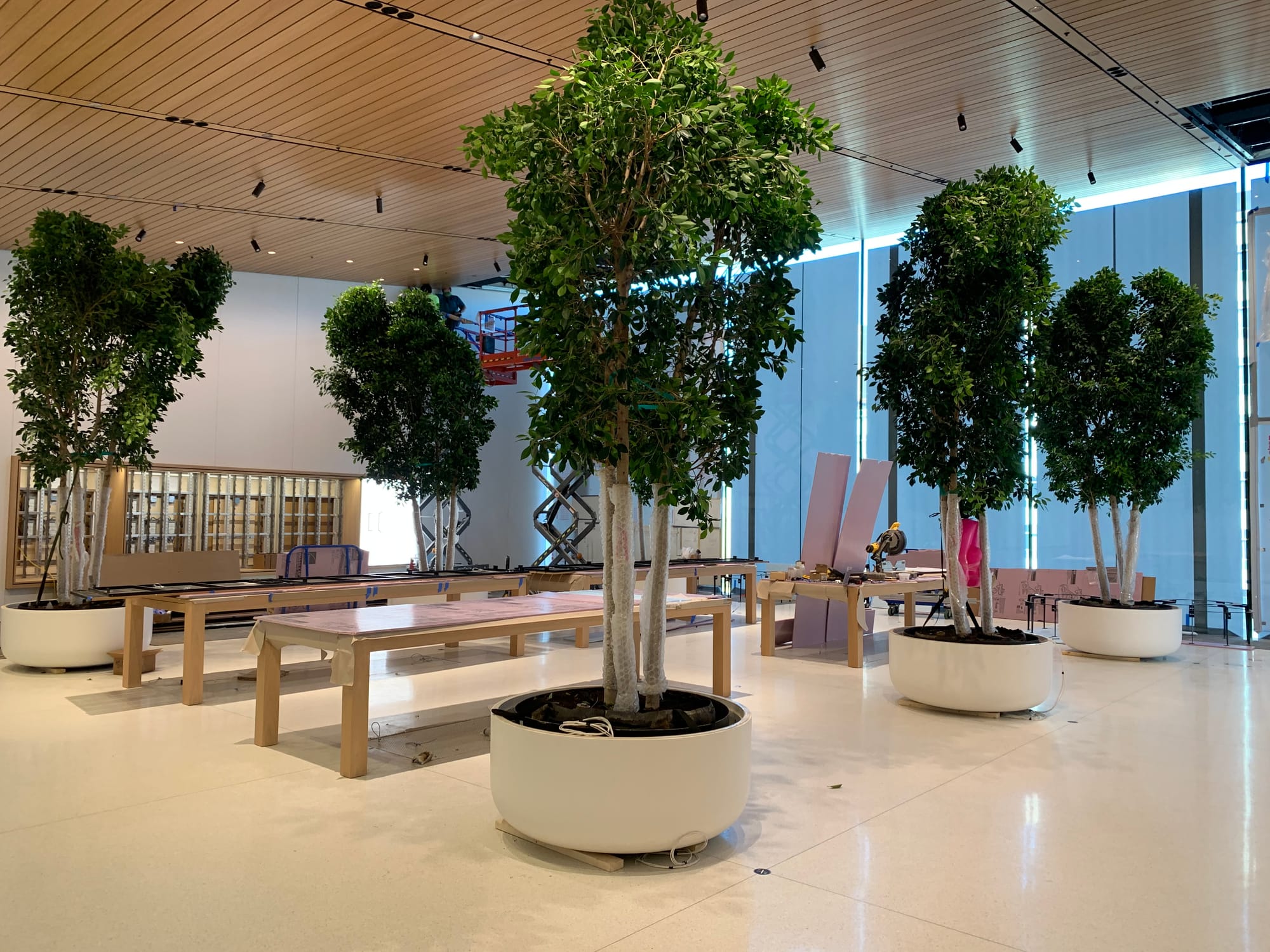 Apple, Denver CO