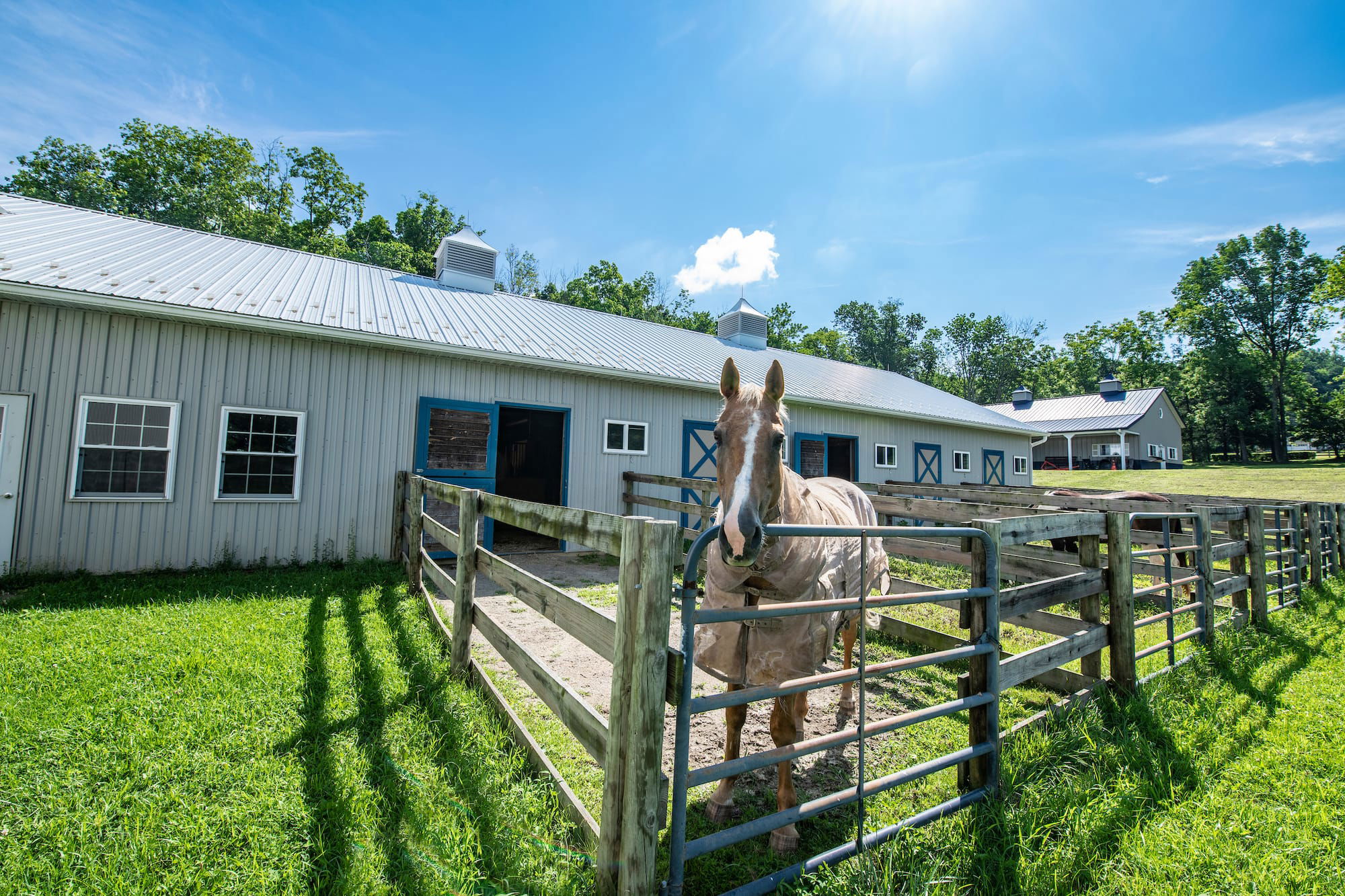 SOLD! EQUESTRIAN PROPERTIES!