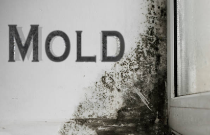 Guidelines for Mold Remediation