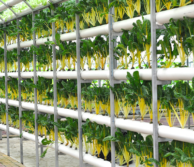 The Benefits Of Vertical Growing Systems