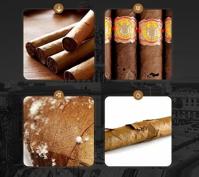 How to store a growing cigar image