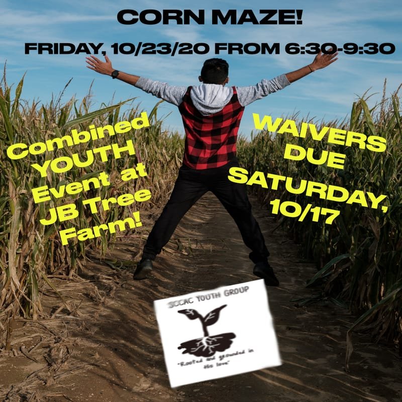 Corn Maze at JB Tree Farm