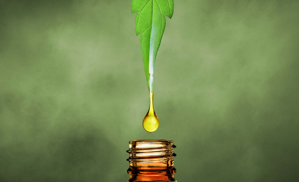 Surprising Benefits of Using Cannabis Oil