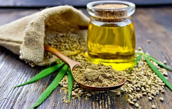 Factors That Influence the Choice of High-Quality CBD Oil in the Market