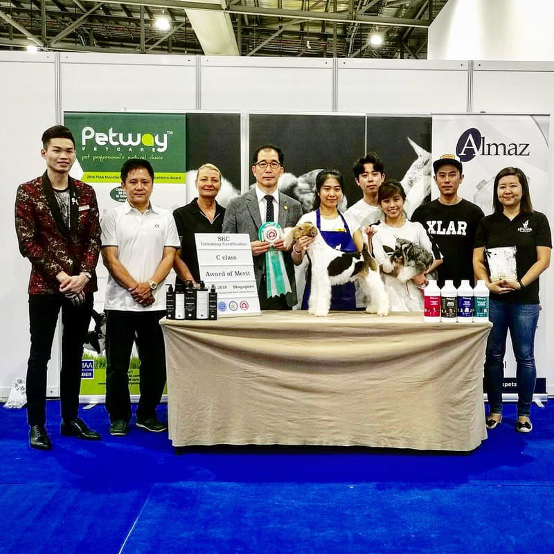 SKC GROOMING COMPETITION 2019