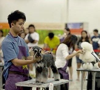 SKC GROOMING COMPETITION 2012
