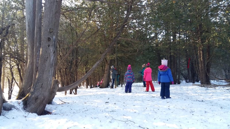 Camps image