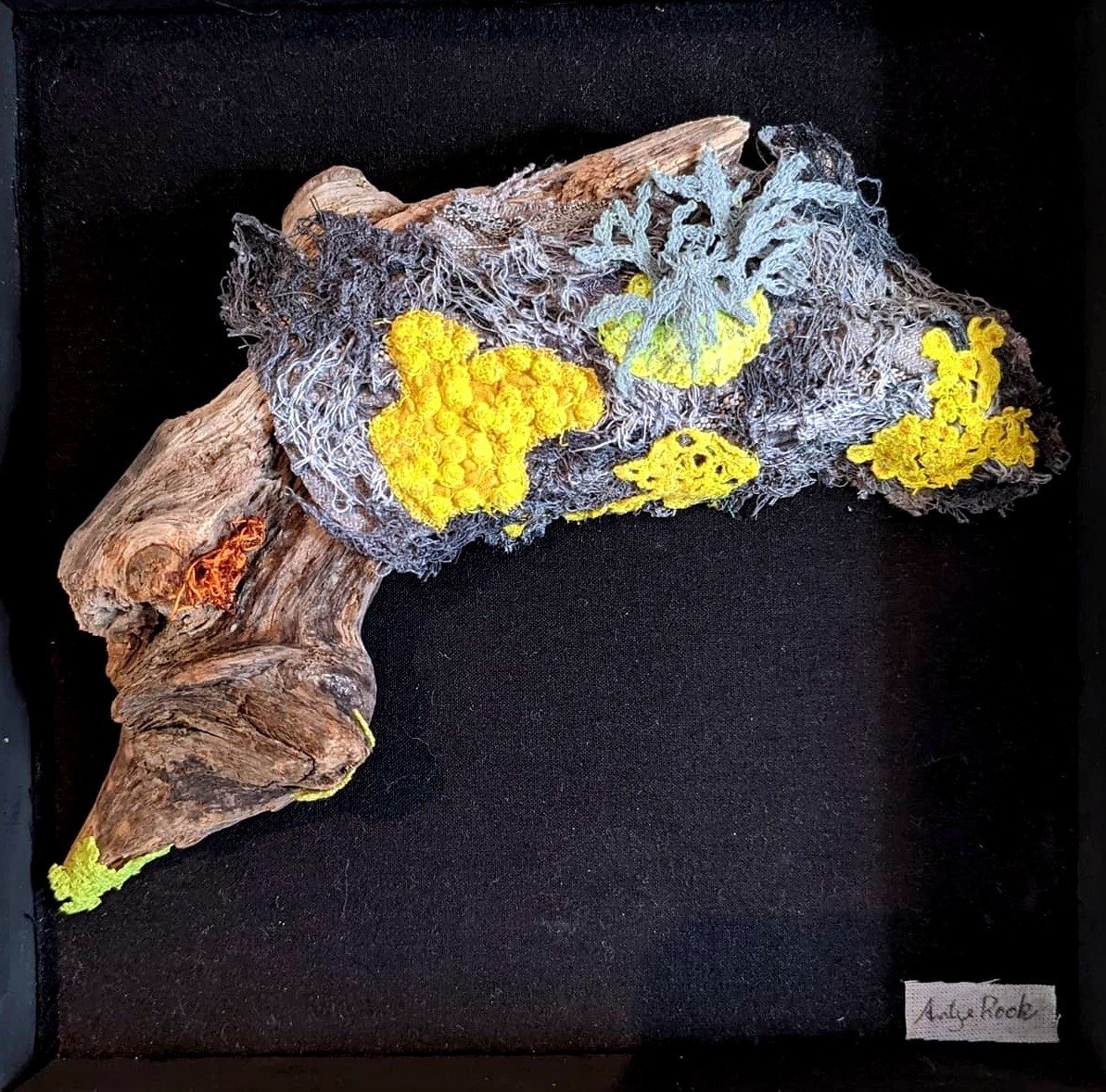Moss and lichen, yellow