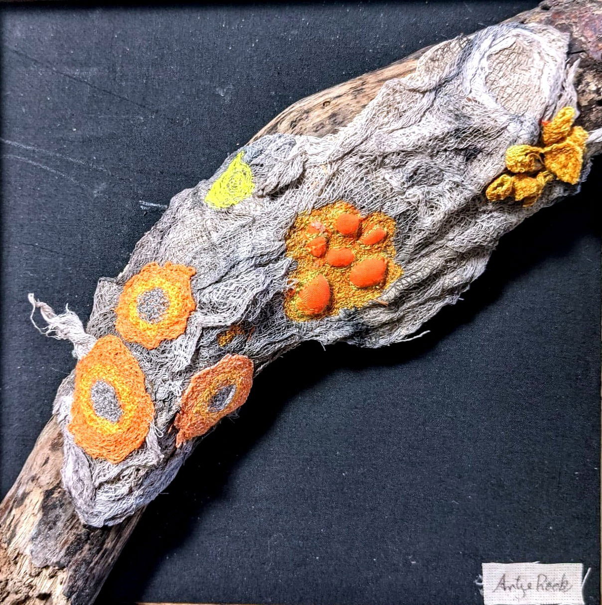 Moss and lichen, orange