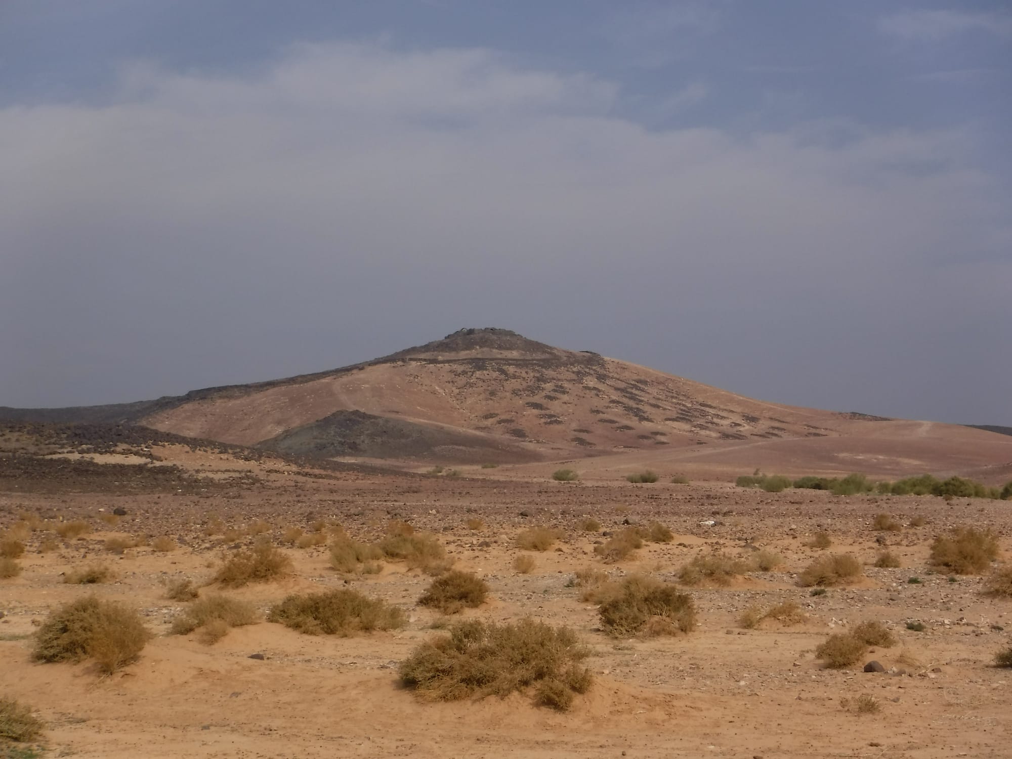 Qasr Assekhim area