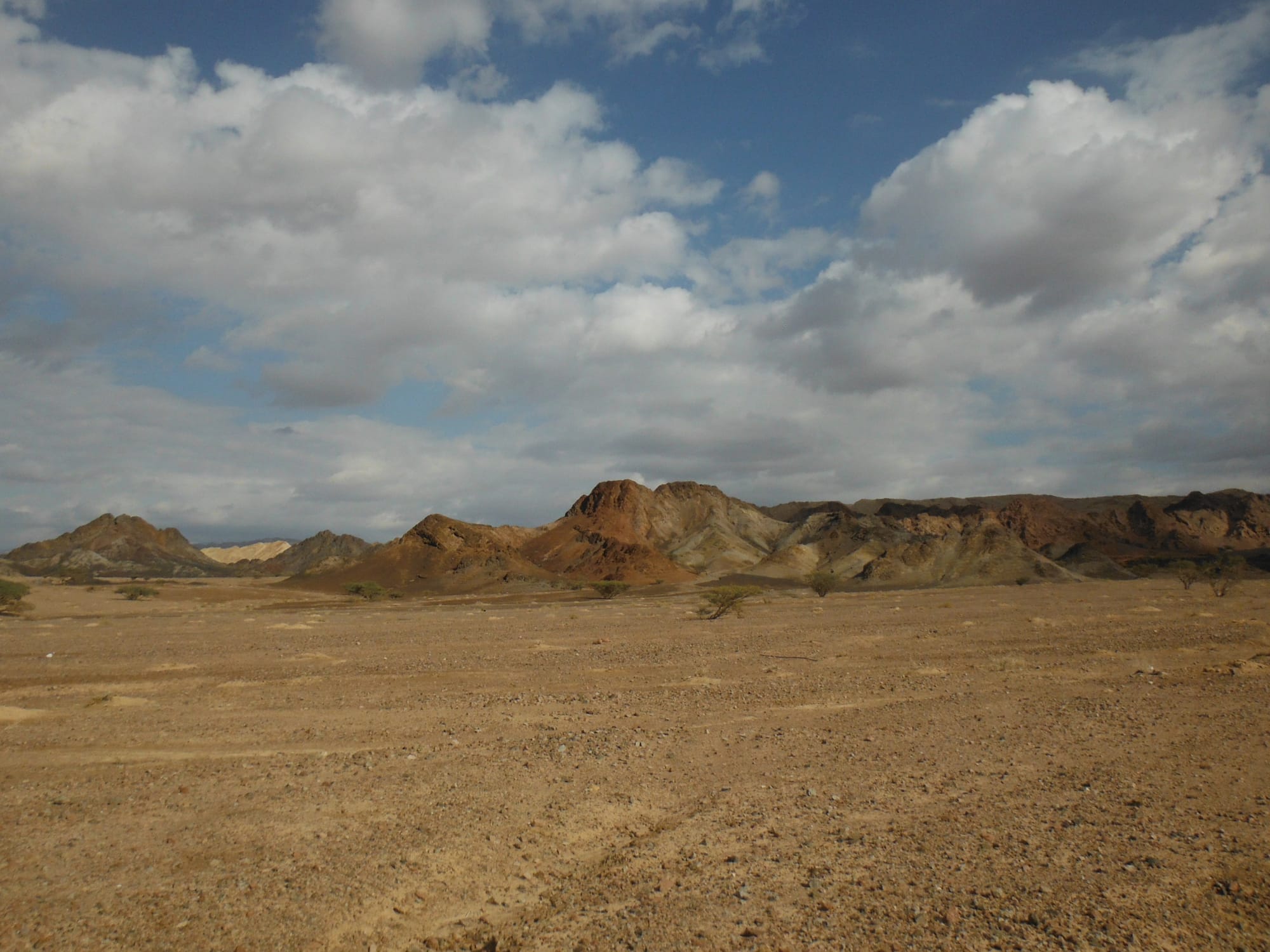 Wadi Araba - Paths of Jordan