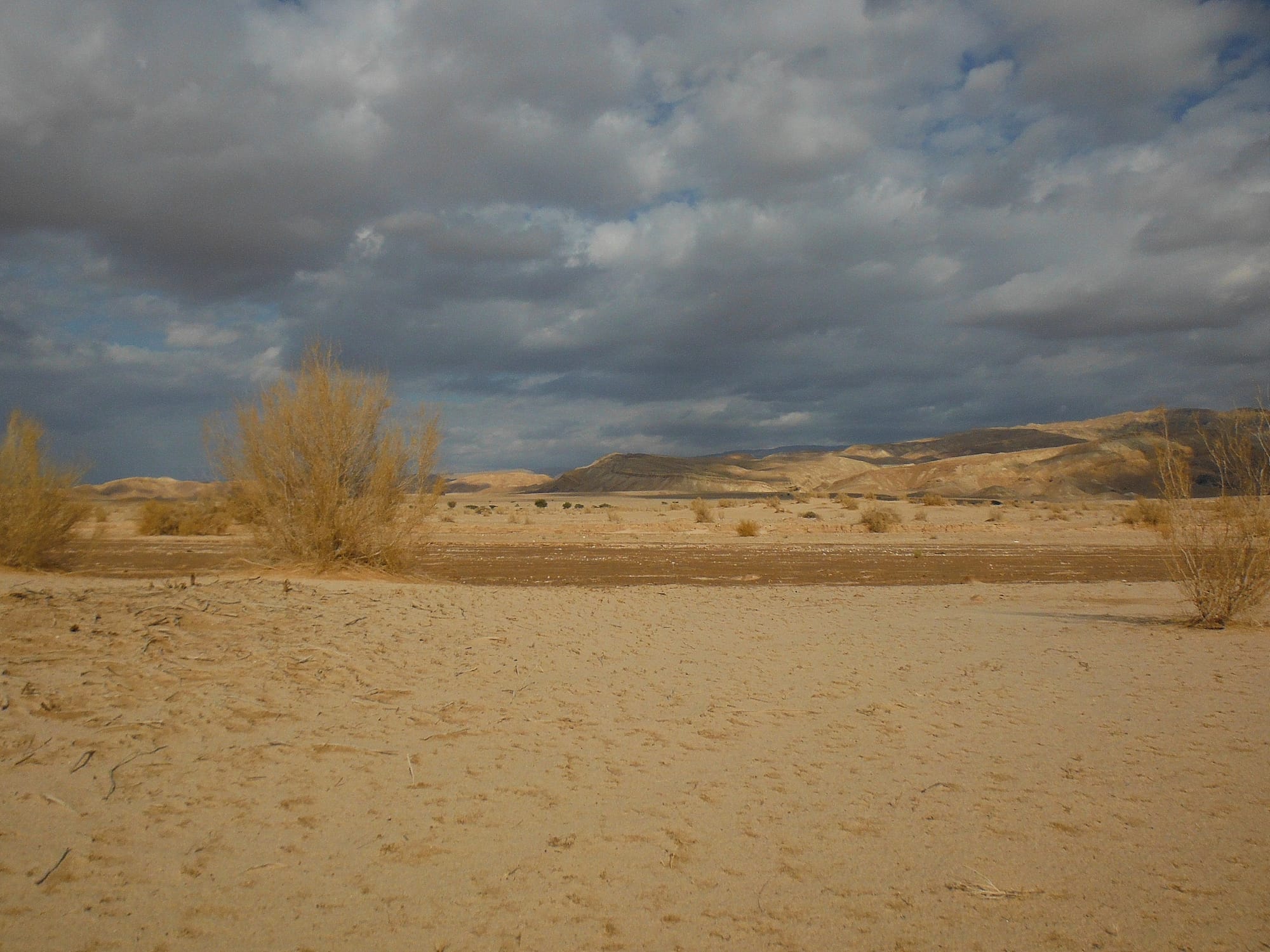 Wadi Araba - Paths of Jordan