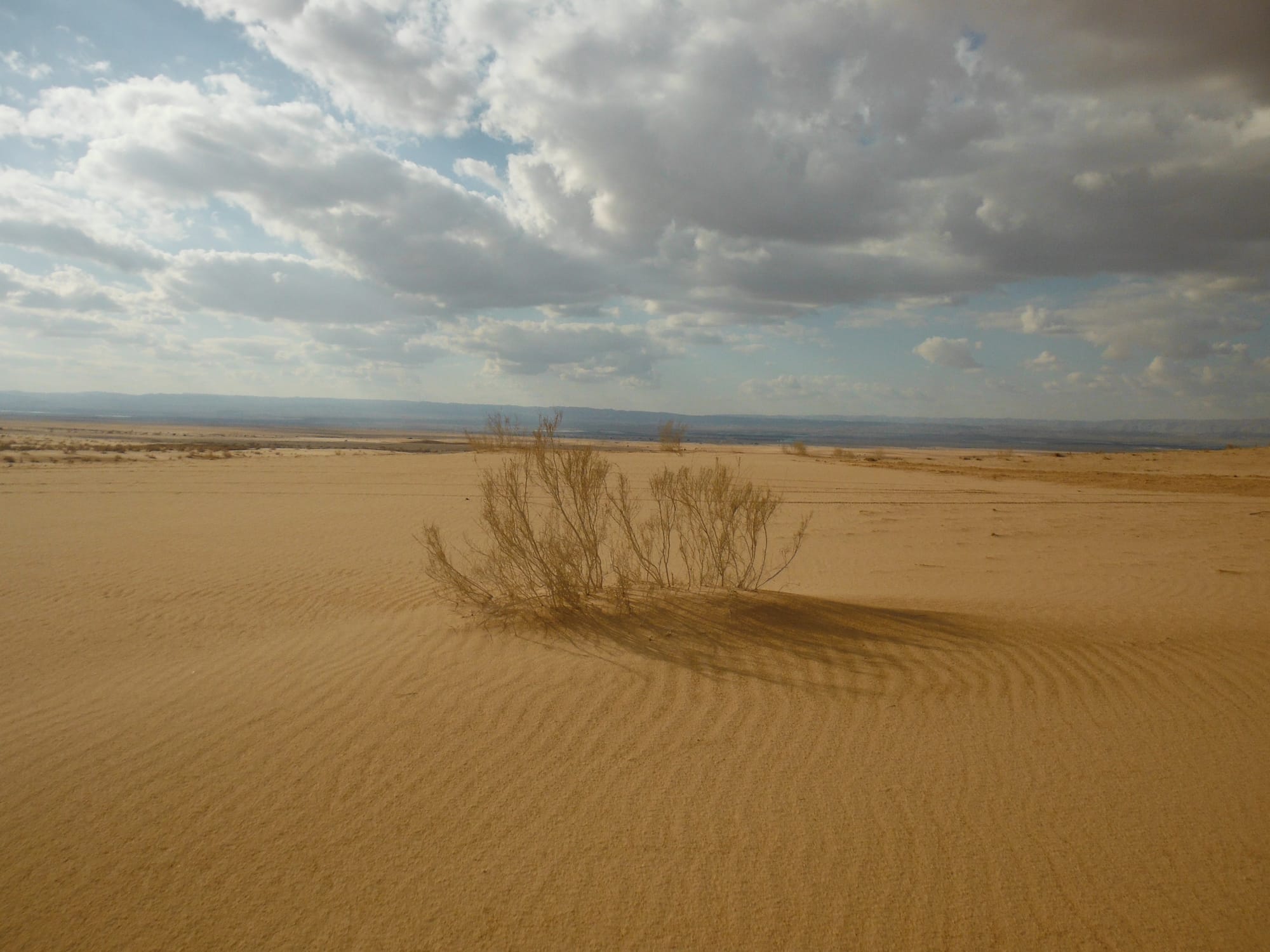 Wadi Araba Paths of Jordan