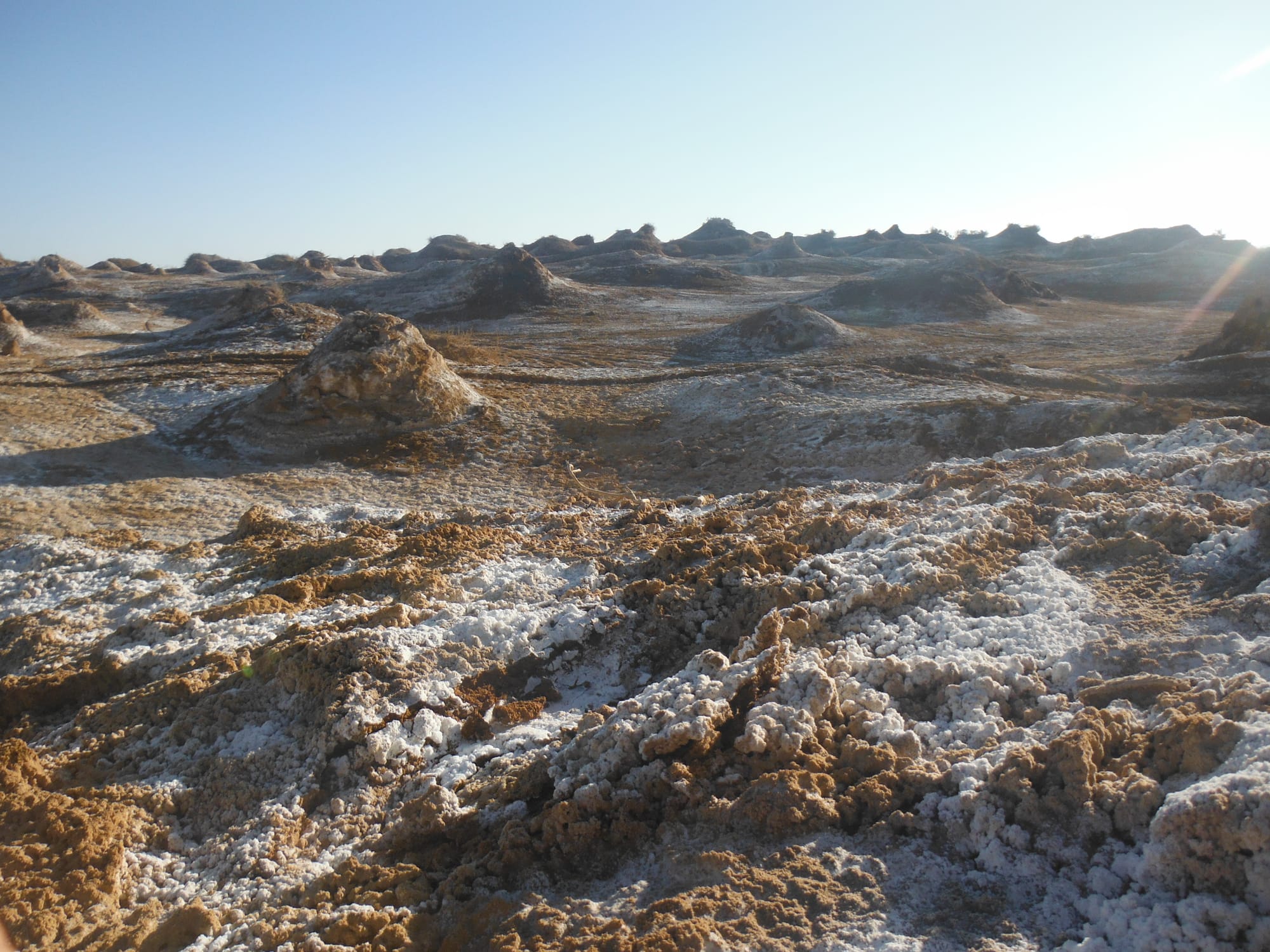 Azraq Lake - Paths of Jordan