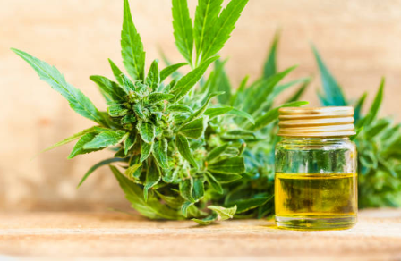 Crucial Points to Note on CBD Products