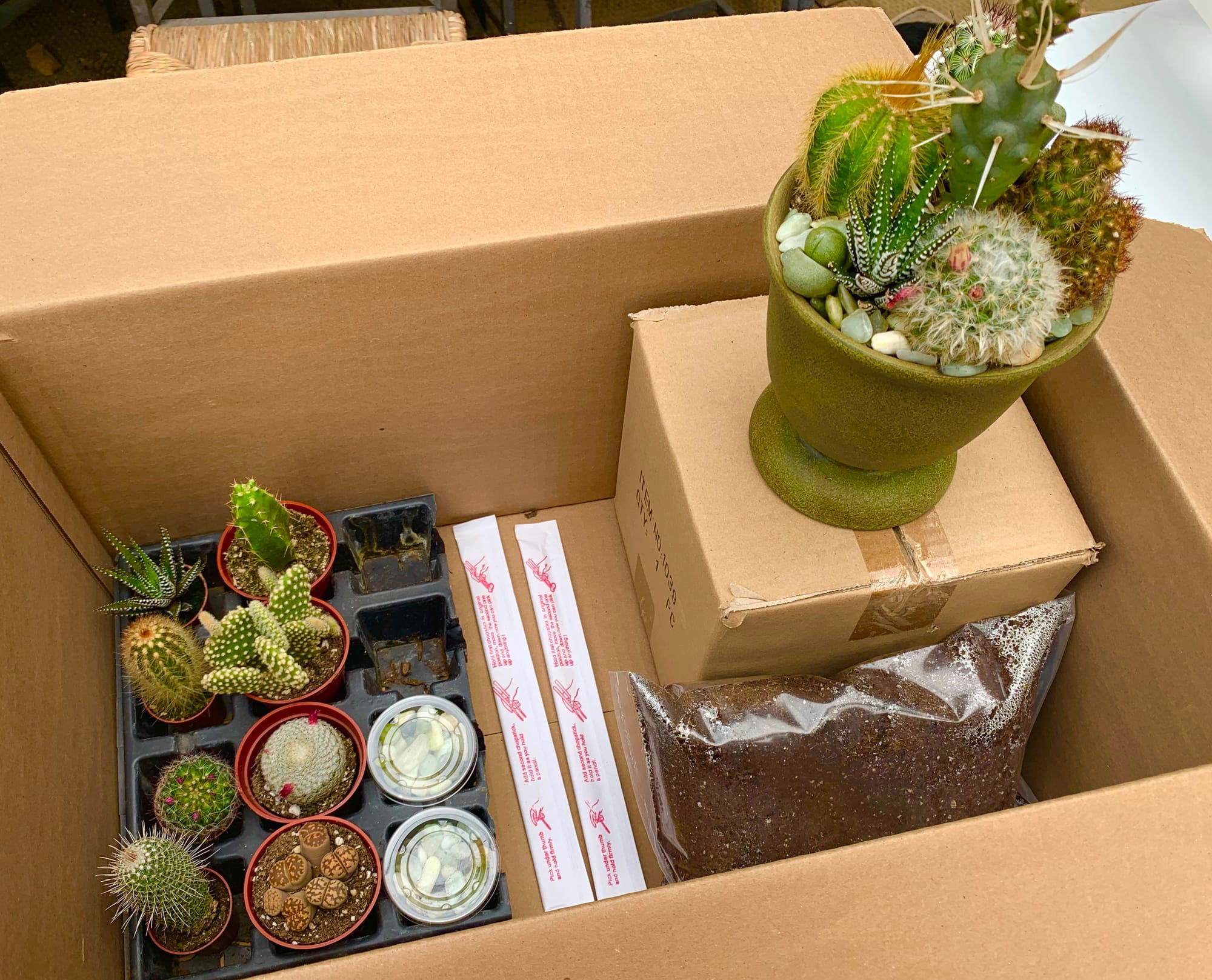 Cactus Class available as a kit to take home OR book a private in-store class $75