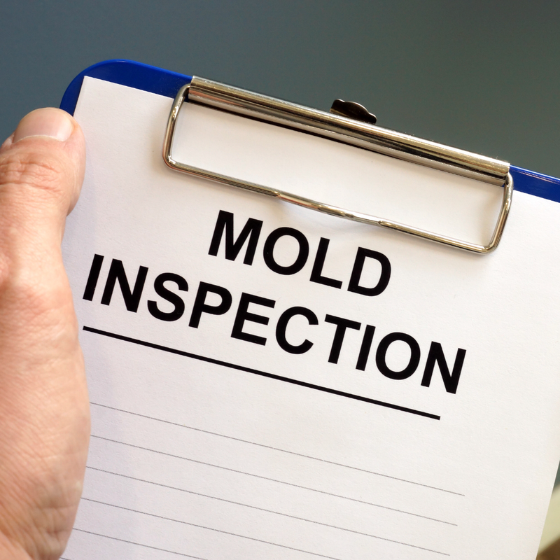 Mold and Indoor Air Quality Assessments
