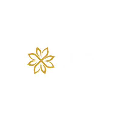 ANIS group s.r.o.