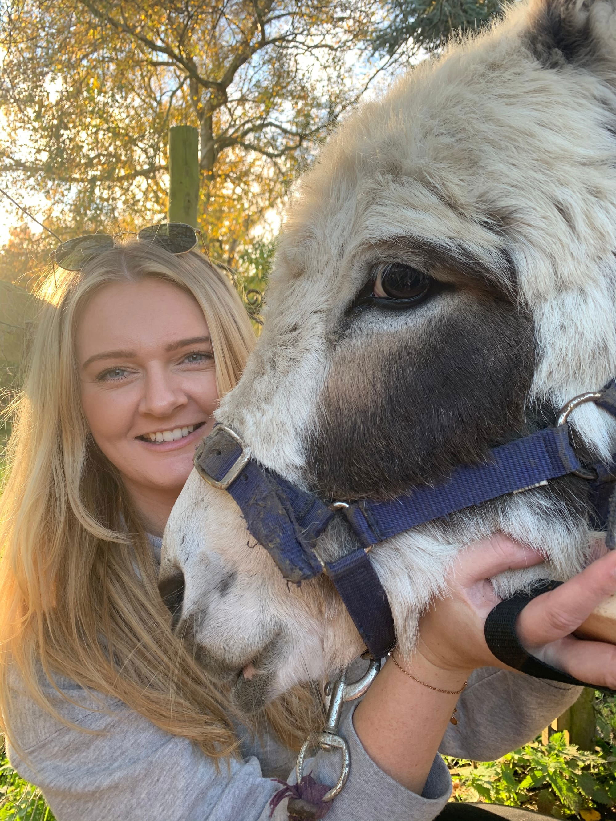 Kisses with the donkeys