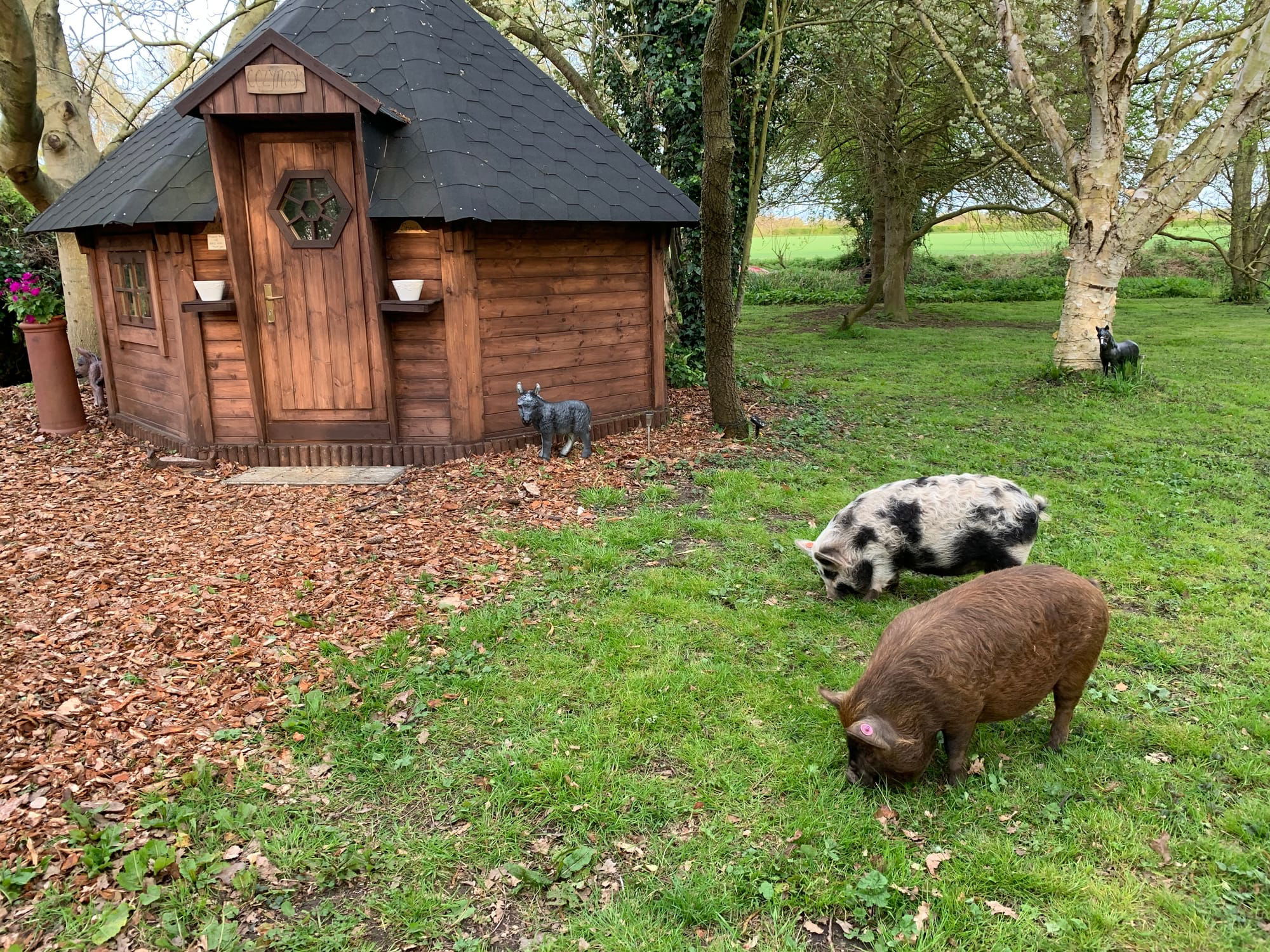 Our beautiful Cozy Nook and pigs!