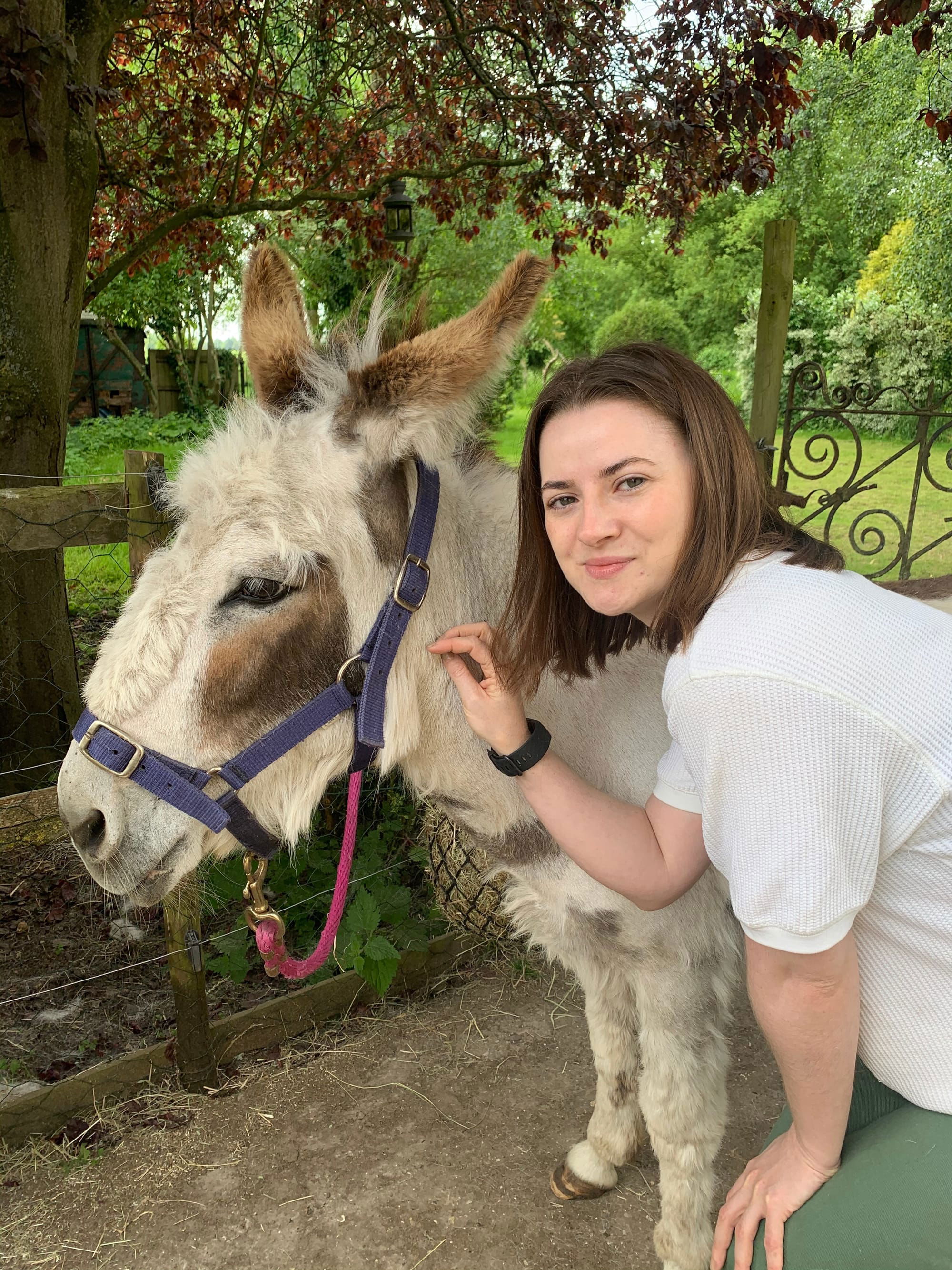 Our donkeys are very friendly!