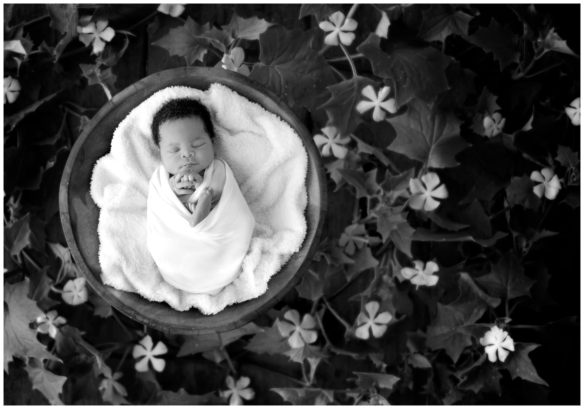 Moon Bailey Newborn Photography