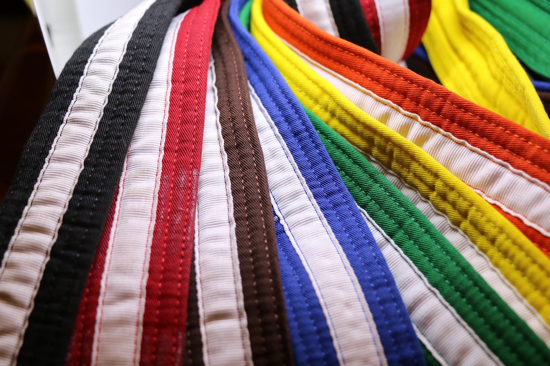 All grades from Blue belt to Brown & Red belt