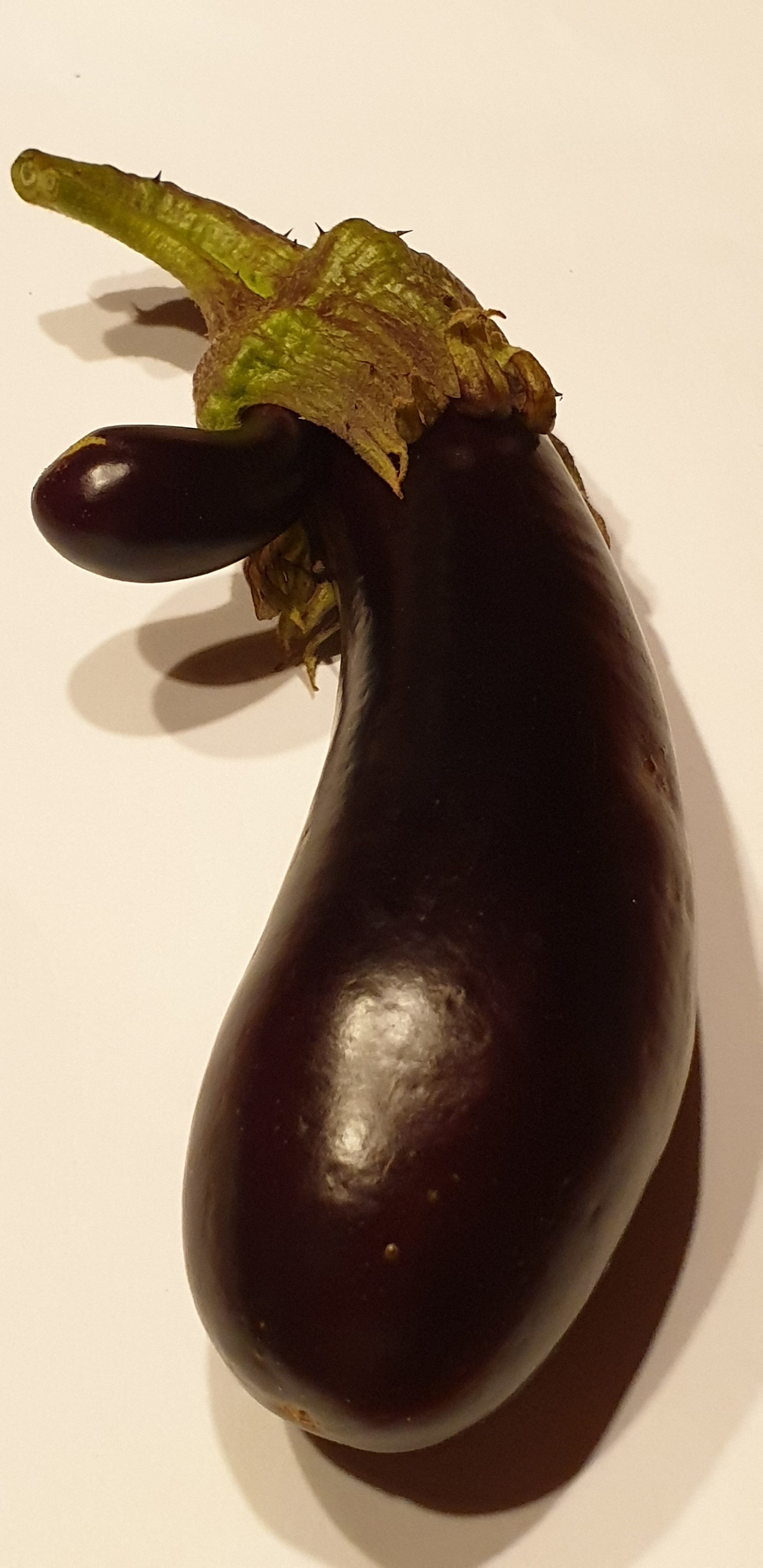 Une aubergine particulière (juillet 2019)
