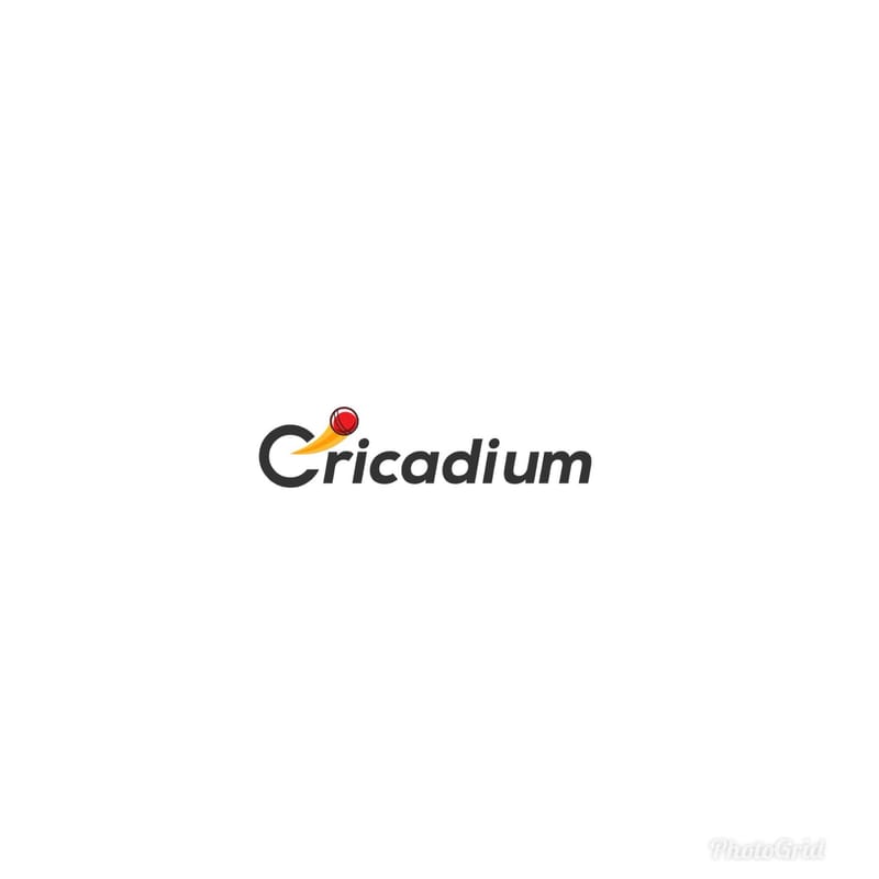 enthusiasm-among-cricket-fans-for-icc-cricket-world-cup-2019-cricadium