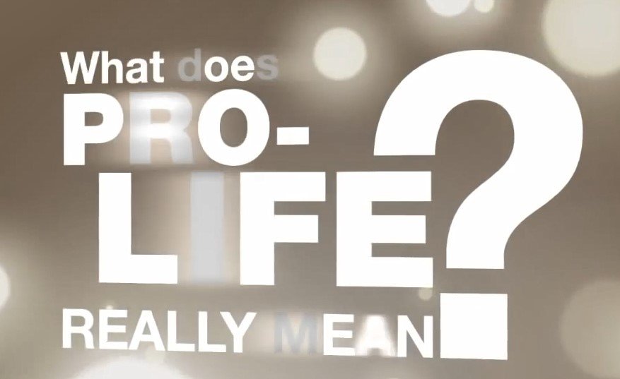 51. What Does Pro-Life Really Mean?