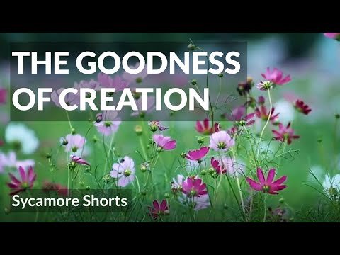 [12A] The goodness of creation
