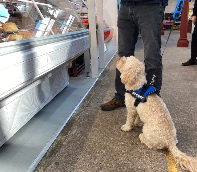 Well behaved dogs NEWPORT INDOOR MARKET SHROPSHIRE