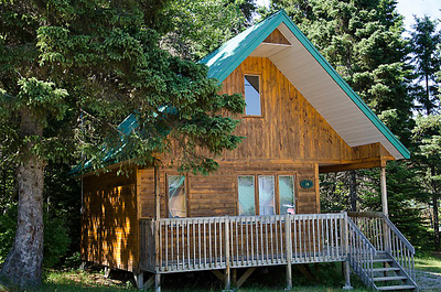 Searching for the Perfect Cabin Rental image