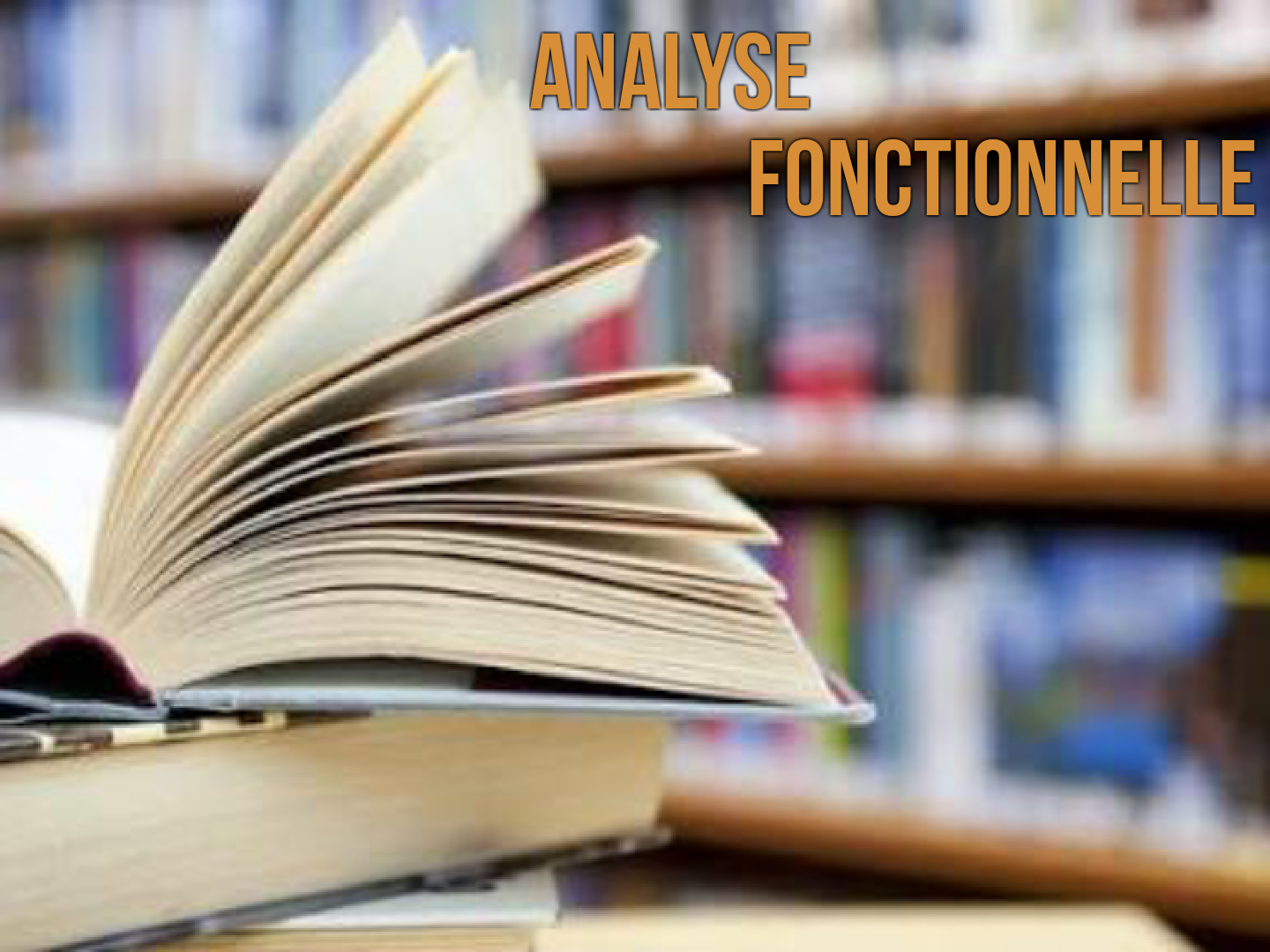 Analyse fonctionelle